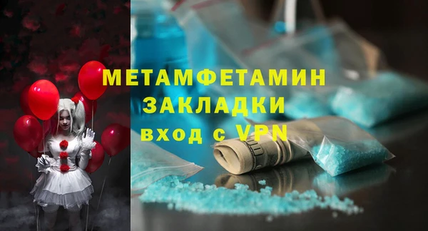 прущие грибы Инсар