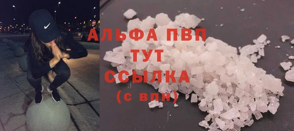 прущие грибы Инсар