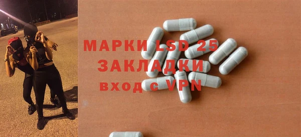 прущие грибы Инсар