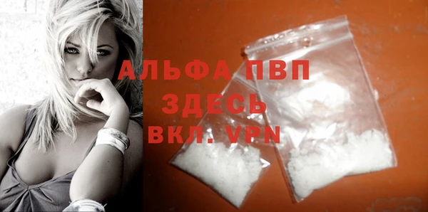 прущие грибы Инсар