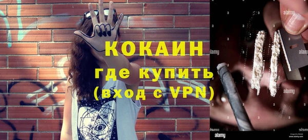 прущие грибы Инсар