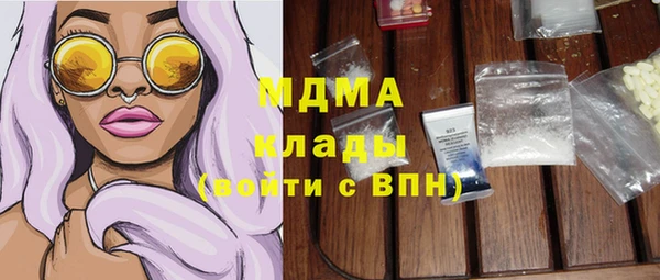 прущие грибы Инсар
