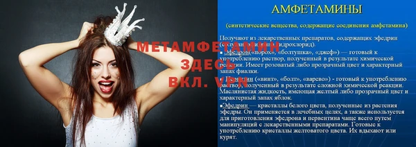 прущие грибы Инсар