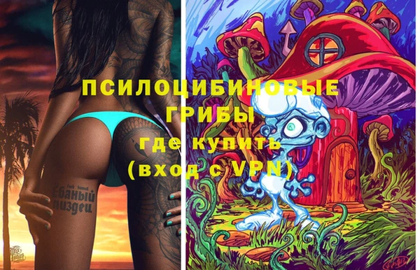 прущие грибы Инсар