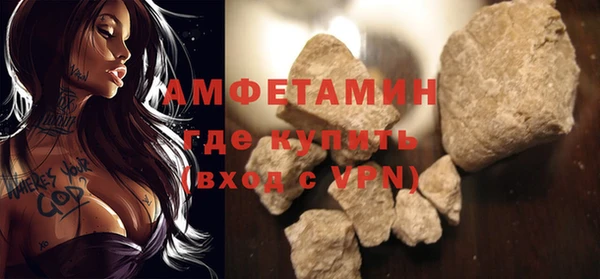 прущие грибы Инсар