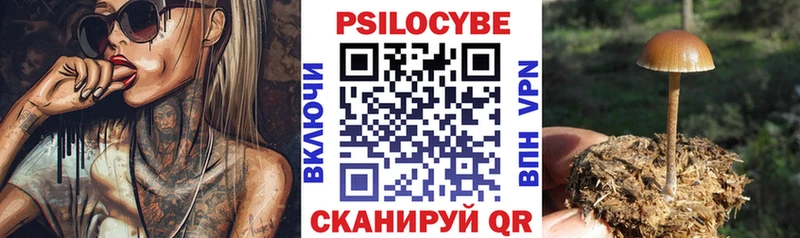 Псилоцибиновые грибы прущие грибы  Купить закладки  Дедовск 